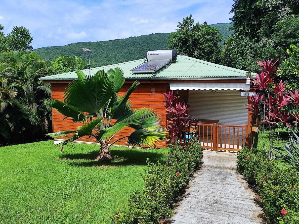 Le Tri Haut De Bellevue - Bungalow Colibri Pointe-Noire Exterior photo